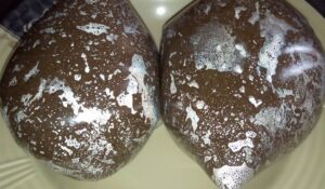Amala